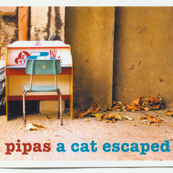 Pipas - A Cat Escaped