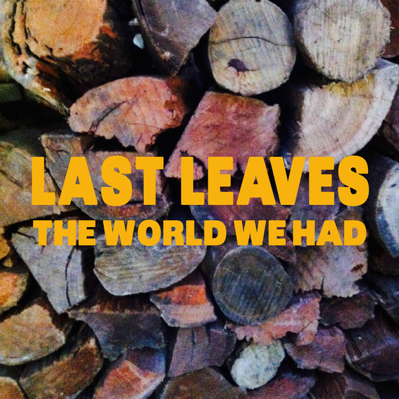 Last Leaves - The World We Had